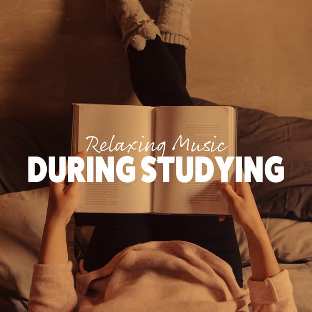 Relaxing Music During Studying: Pure Focus, Study Music for Stress Relief, Mindfulness - Study Music Club