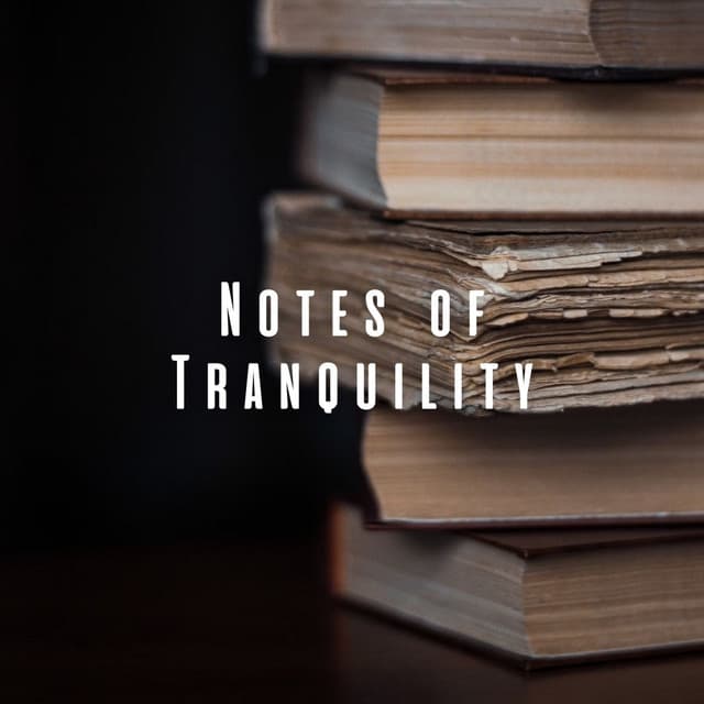 Notes of Tranquility: Elevate Study with Meditation Music - Stress Relief Helper