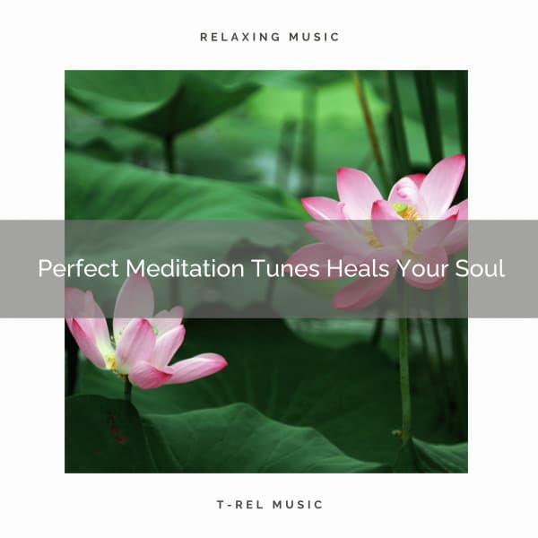 Perfect Meditation Tunes Heals Your Soul - Eternal Relax