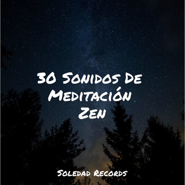 30 Sonidos De Meditación Zen - Yoga Para Ninos