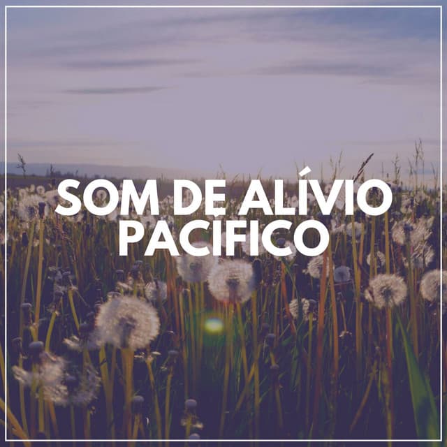 Som de Alívio Pacífico - Academia de Meditação Buddha
