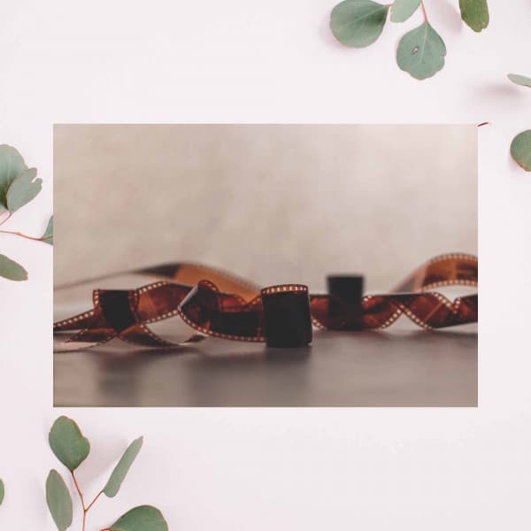 Music for Peak Summer - Lovely Jazz Quintet - Working from Home Playlist