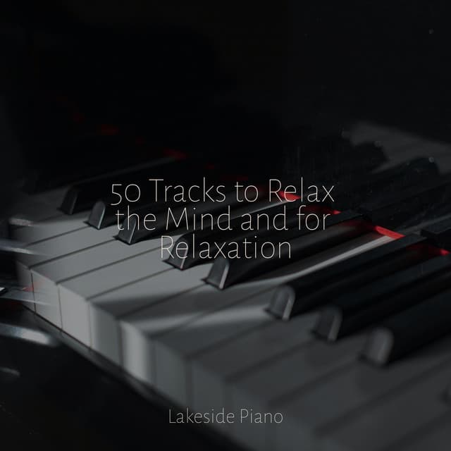 50 Tracks to Relax the Mind and for Relaxation - SD