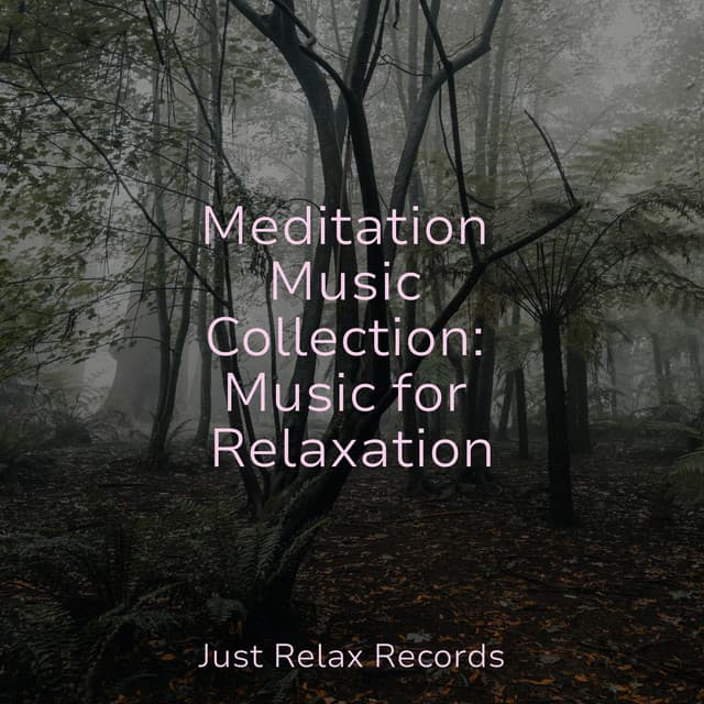 Meditation Music Collection: Music for Relaxation - Música Para Meditar y Relajarse