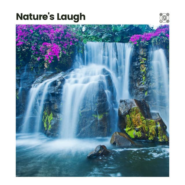 Nature's Laugh - Babbling Brook