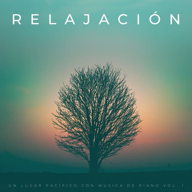 Relajación: Un Lugar Pacífico Con Musica De Piano Vol. 1 - Estado de distracción