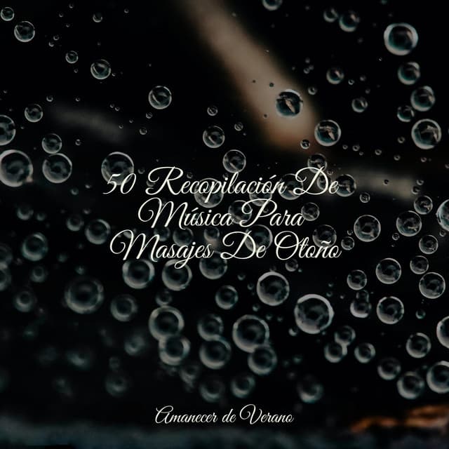 50 Recopilación De Música Para Masajes De Otoño - Cascada de Lluvia