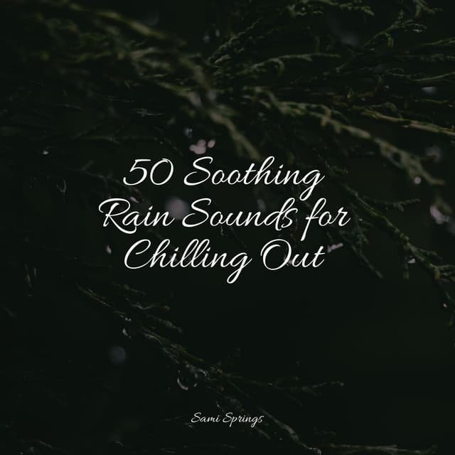 50 Soothing Rain Sounds for Chilling Out - The Rain Library