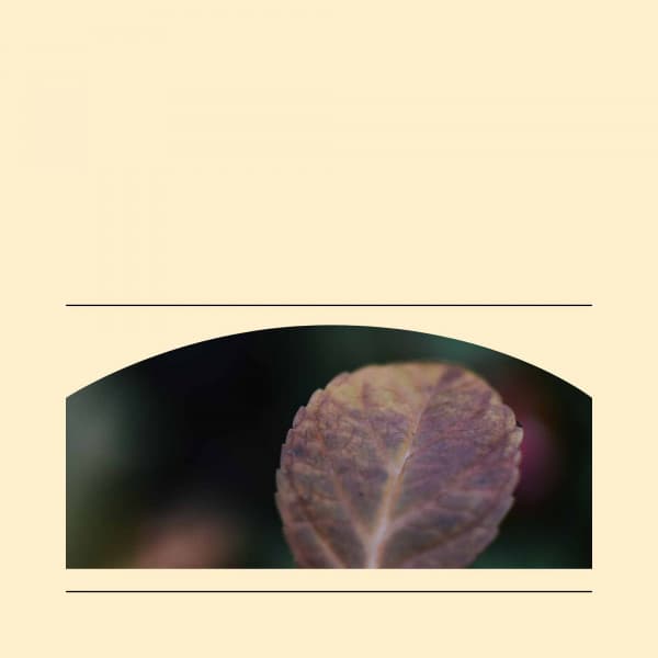 Holistic Spa Treatment - Music For Deep Sleep