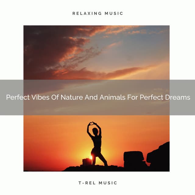 Perfect Vibes Of Nature And Animals For Perfect Dreams - Total Relax
