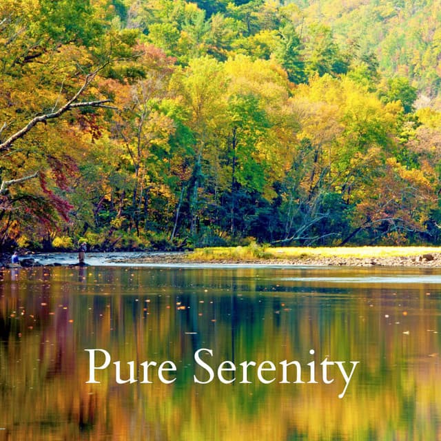 Pure Serenity - Ocean Sounds ACE