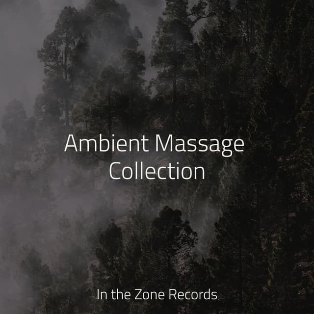 Ambient Massage Collection - Lounge Music Café