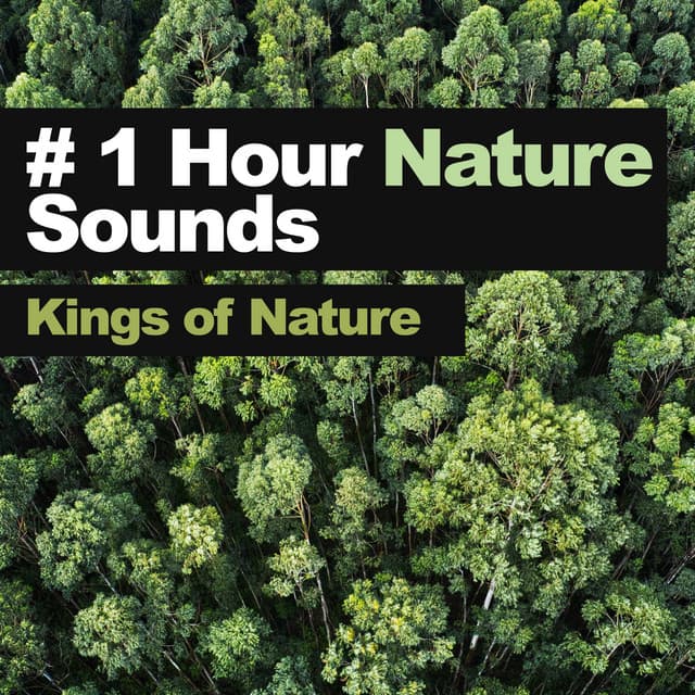 # 1 Hour Nature Sounds - Kings of Nature