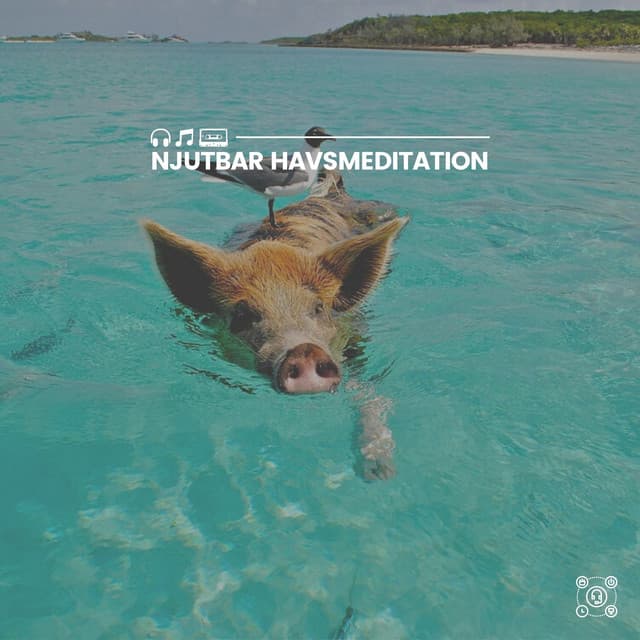 Njutbar havsmeditation - Avslappning och avspänning för dig