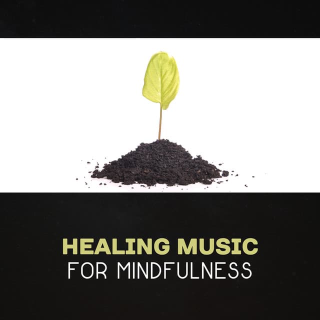 Healing Music for Mindfulness – Meditation for Beginners, Yoga Music, Mindfulness Training, Calm Relaxation, Peaceful Moments, Clear Your Mind - Zen Mental Relax Sanctuary