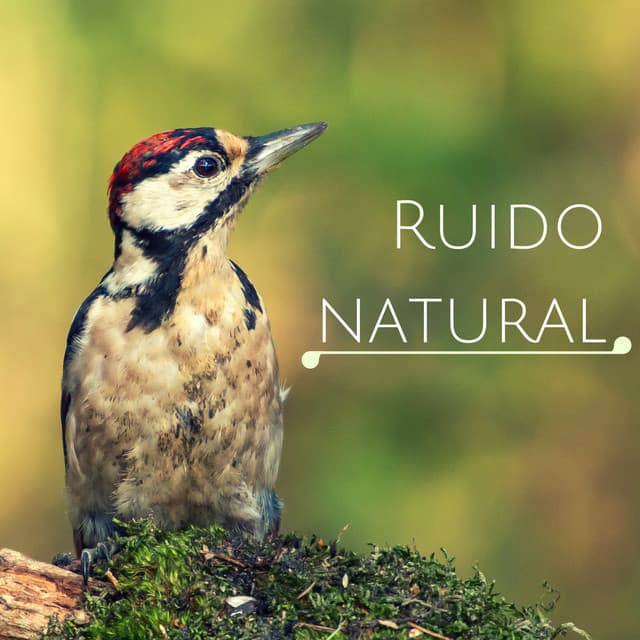 Ruido natural