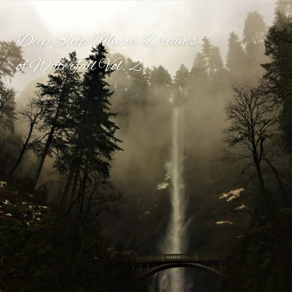Deep Sleep Music: Dreams of Waterfall Vol. 2 - Sleep Dog