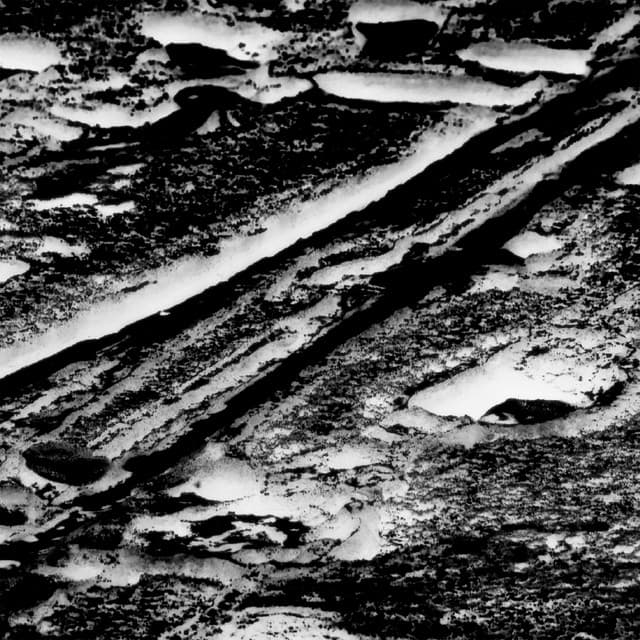 Exploratory I - Phill Niblock