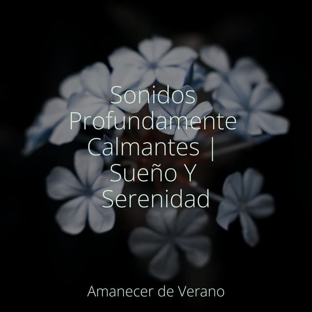 Sonidos Profundamente Calmantes | Sueño Y Serenidad - Música relajante con sonidos de la naturaleza