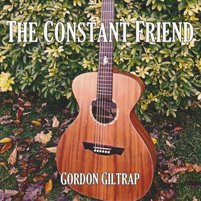 The Constant Friend - Gordon Giltrap