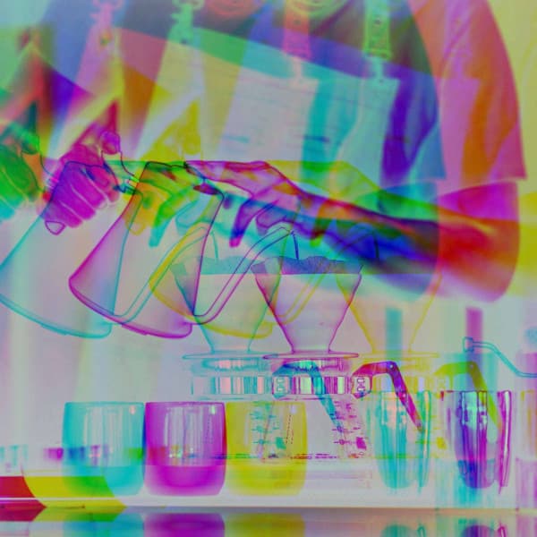 Vibrant Music for January Jazzes - Bossa Guitar Trio with Jazz Organ - Reading Jazz Lounge Background Music