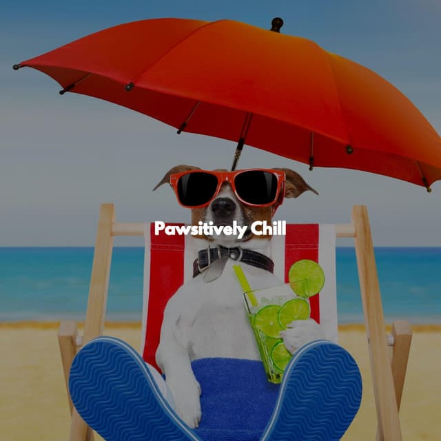 Pawsitively Chill - Hotel Jazz Deluxe