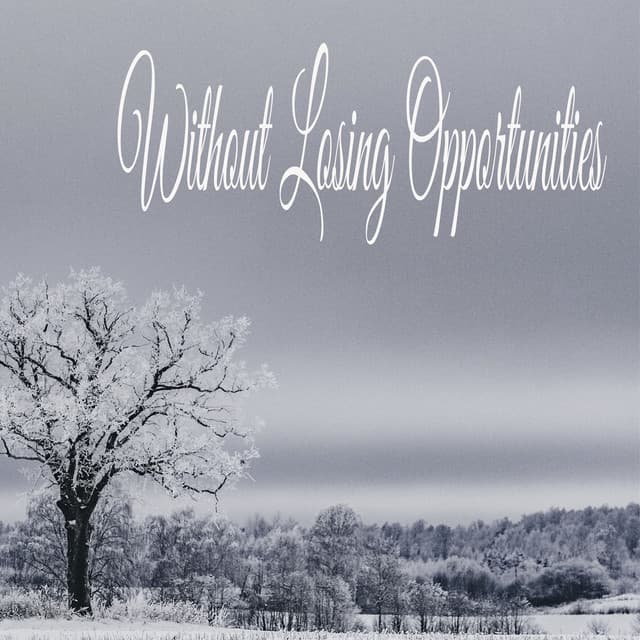 Without Losing Opportunities - Sleeping Music