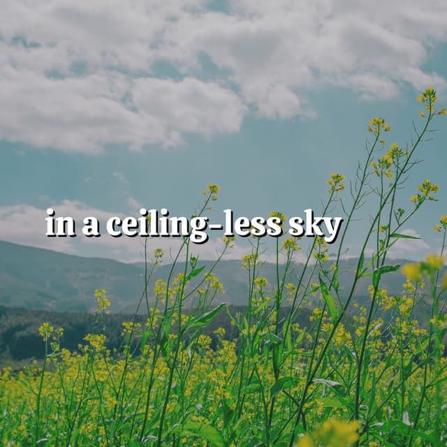 In a Ceiling-less Sky - Naturalis
