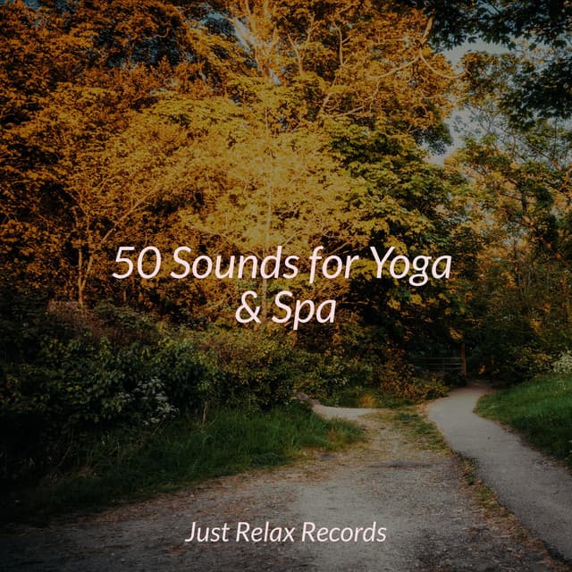 50 Sounds for Yoga & Spa - Musica Romantica