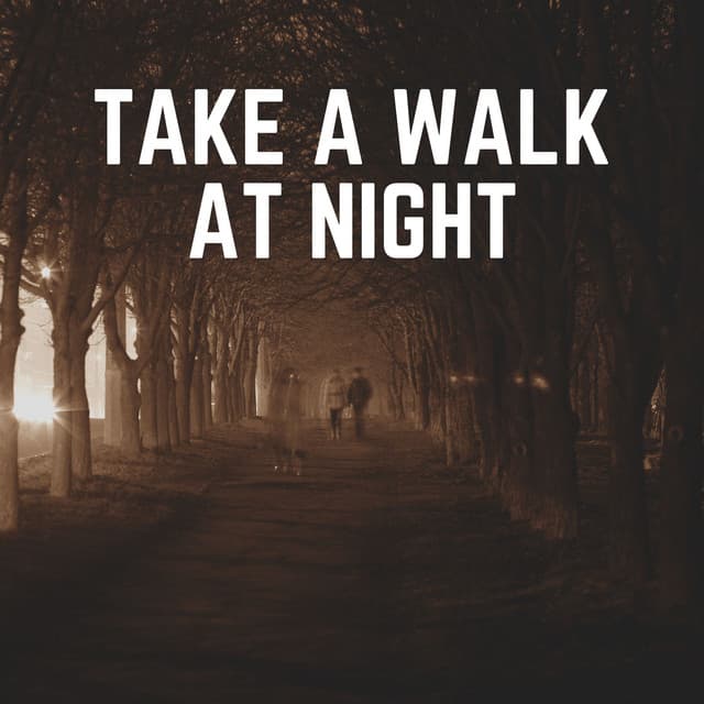 Take a Walk At Night - Wildlife Sound Recordings