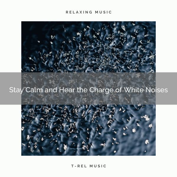 Stay Calm and Hear the Charge of White Noises - Zen Mindwaves