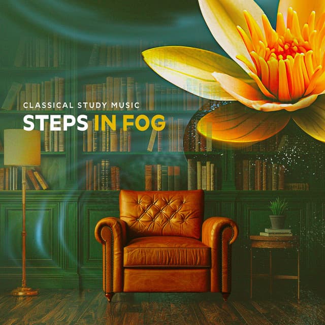Steps In Fog - Classical Study Music