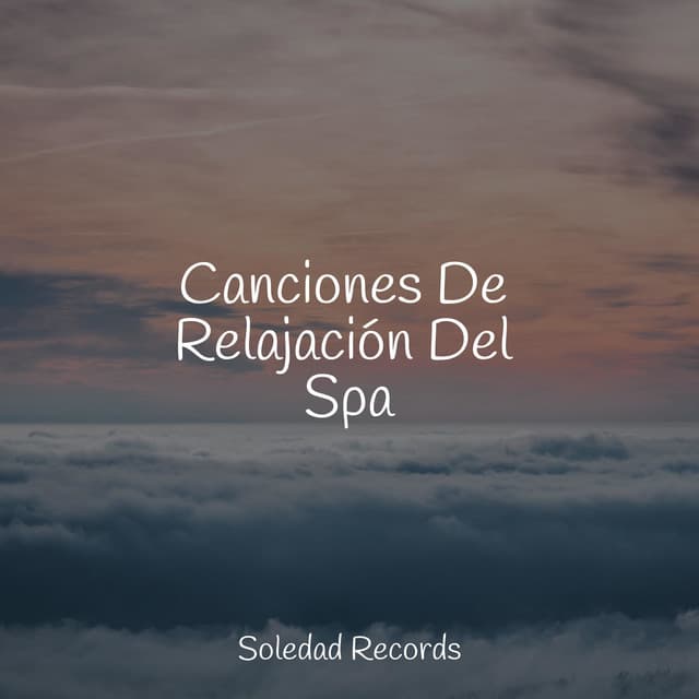 Canciones De Relajación Del Spa - Sonido de lluvia