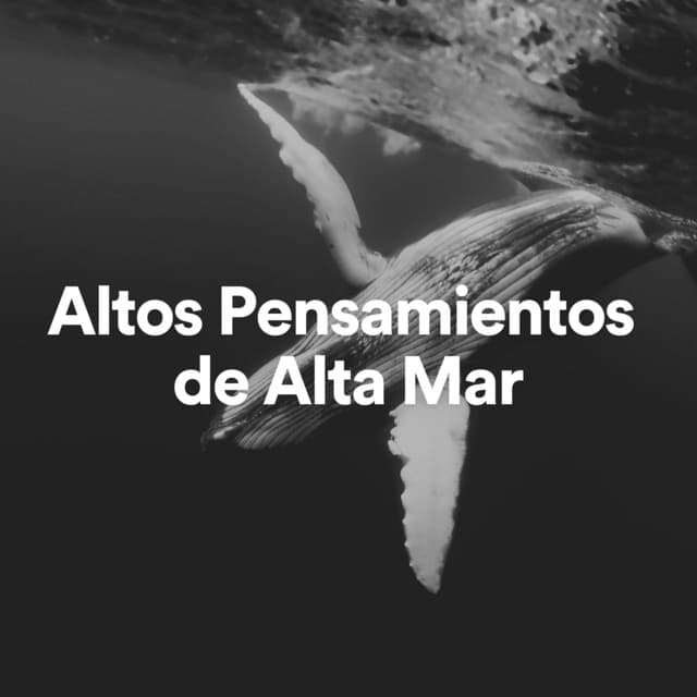Altos Pensamientos de Alta Mar - Olas del Mar