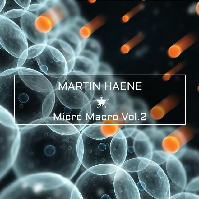 Micro Macro Vol.2 - Martin Haene