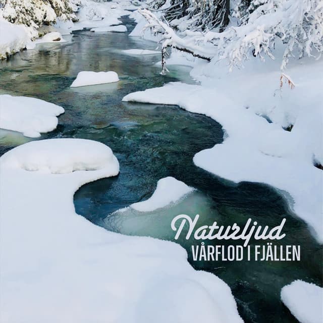 Vårflod i fjällen - Naturljud