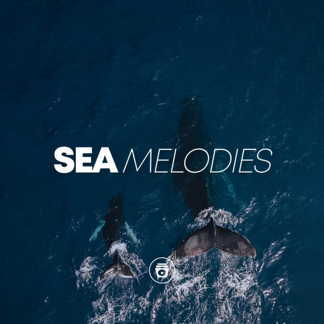 Sea Melodies - Sounds Of Nature