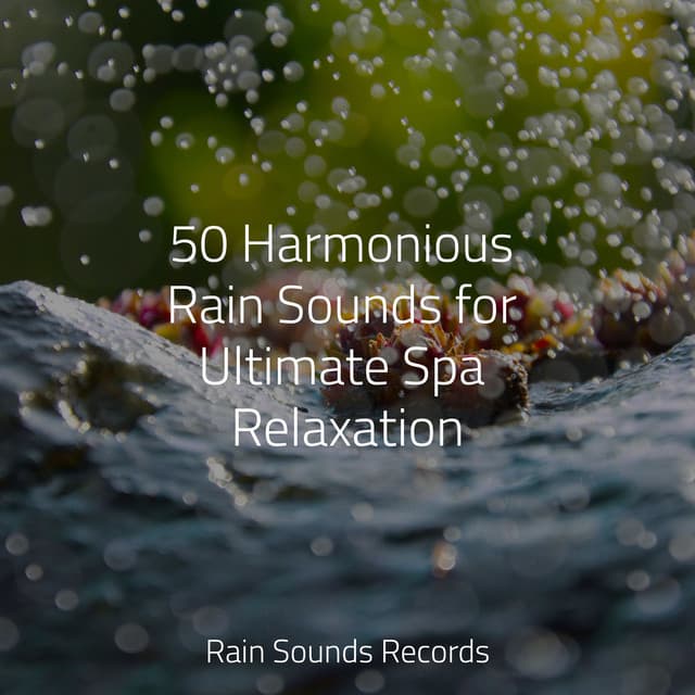 50 Harmonious Rain Sounds for Ultimate Spa Relaxation - Guided Meditation