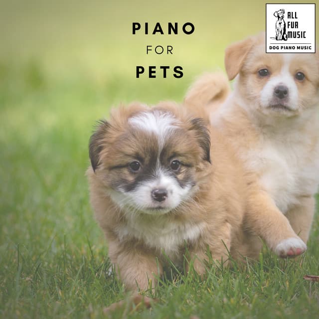 Piano for Pets - Jingle Cats