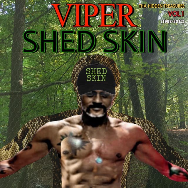 Shed Skin - Viper