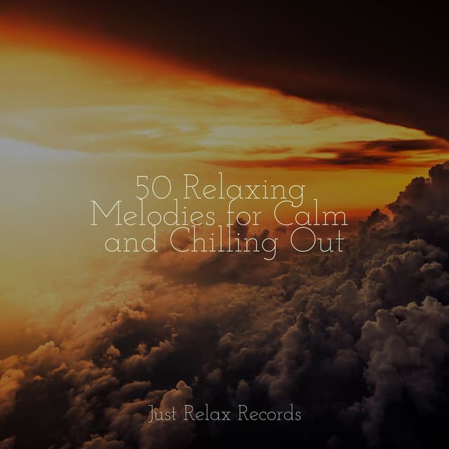 50 Relaxing Melodies for Calm and Chilling Out - Natural Sounds