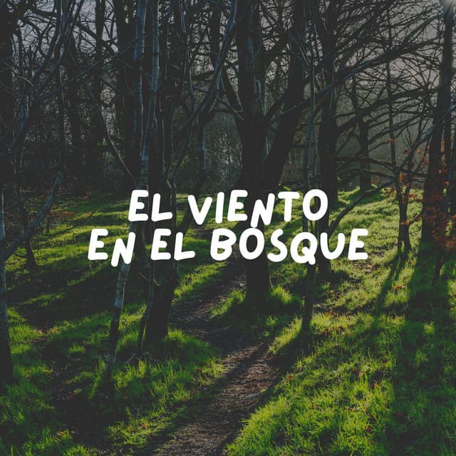 El Viento en el Bosque - Sonidos de la Naturaleza para Dormir