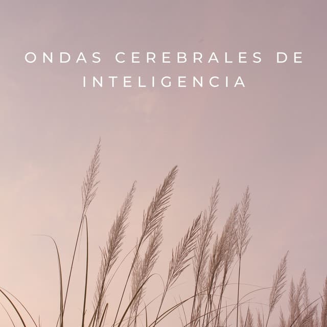 Ondas Cerebrales De Inteligencia - Música Inteligente