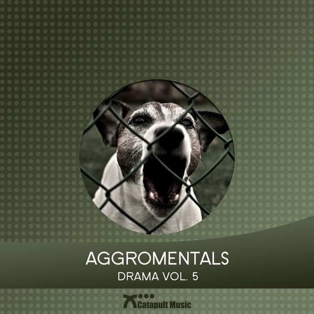 Aggromentals - Martin Haene