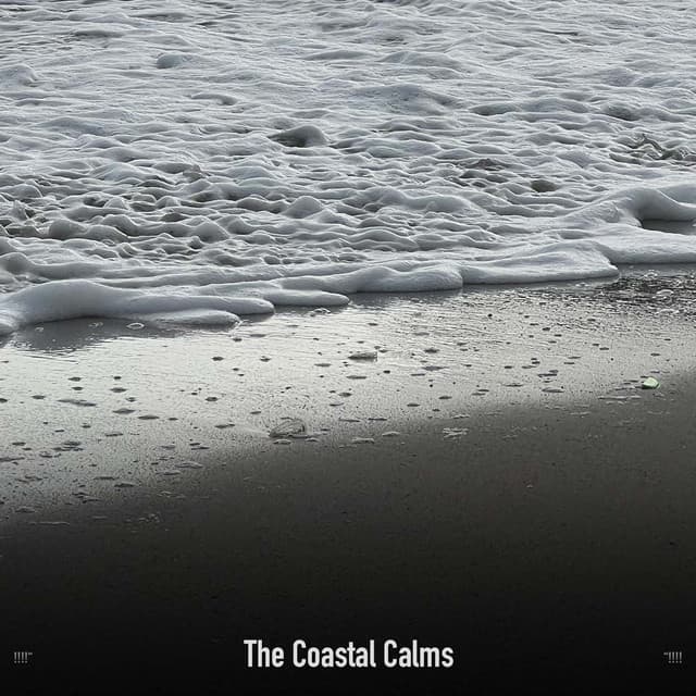 !!!!" The Coastal Calms "!!!! - Ocean Waves