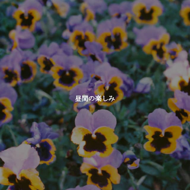 Relaxing Bossa Nova Artisanal