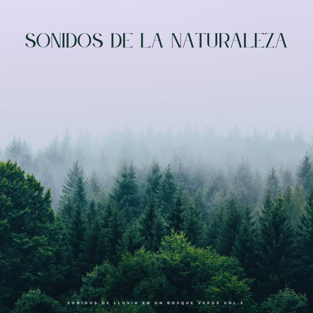 Sonidos De La Naturaleza: Sonidos De Lluvia En Un Bosque Verde Vol.2 - Fábrica De Lluvia