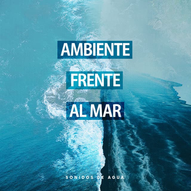 Ambiente Frente al Mar - Sonidos De Agua