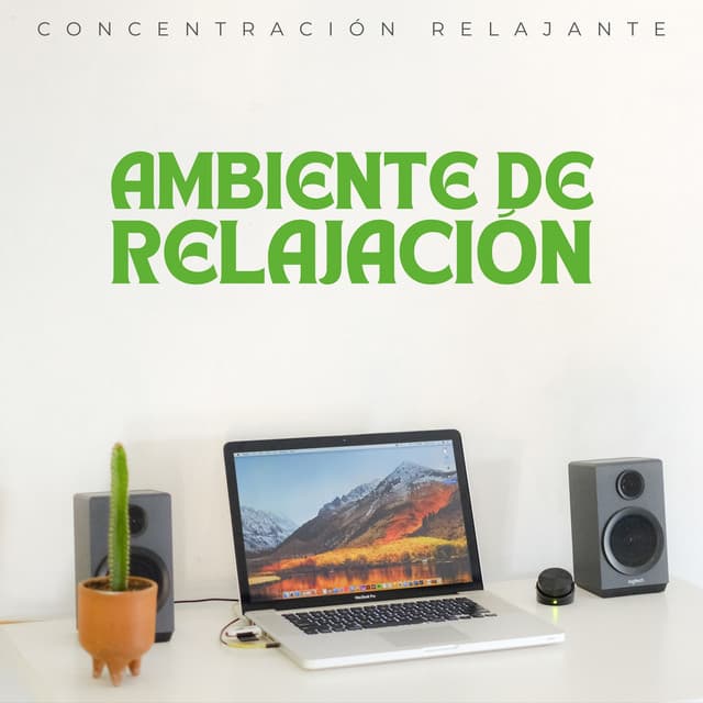 Ambiente De Relajación: Concentración Relajante - Effectum