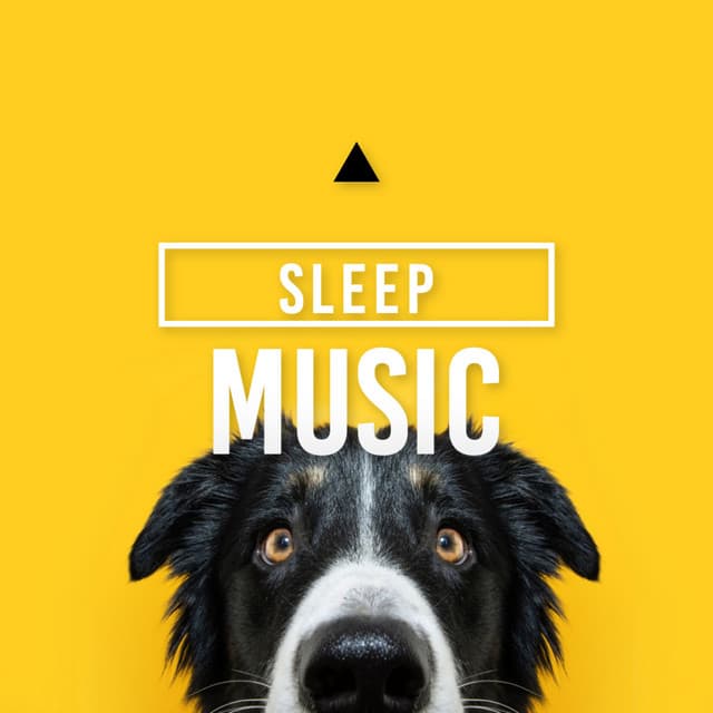 Sleep Music - Dog Sounds